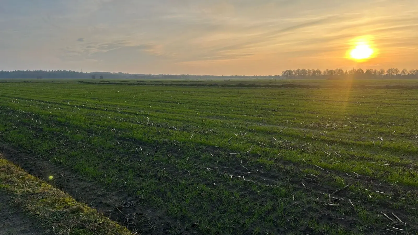 Het recht van erfpacht diverse percelen grond o/ De Knipe