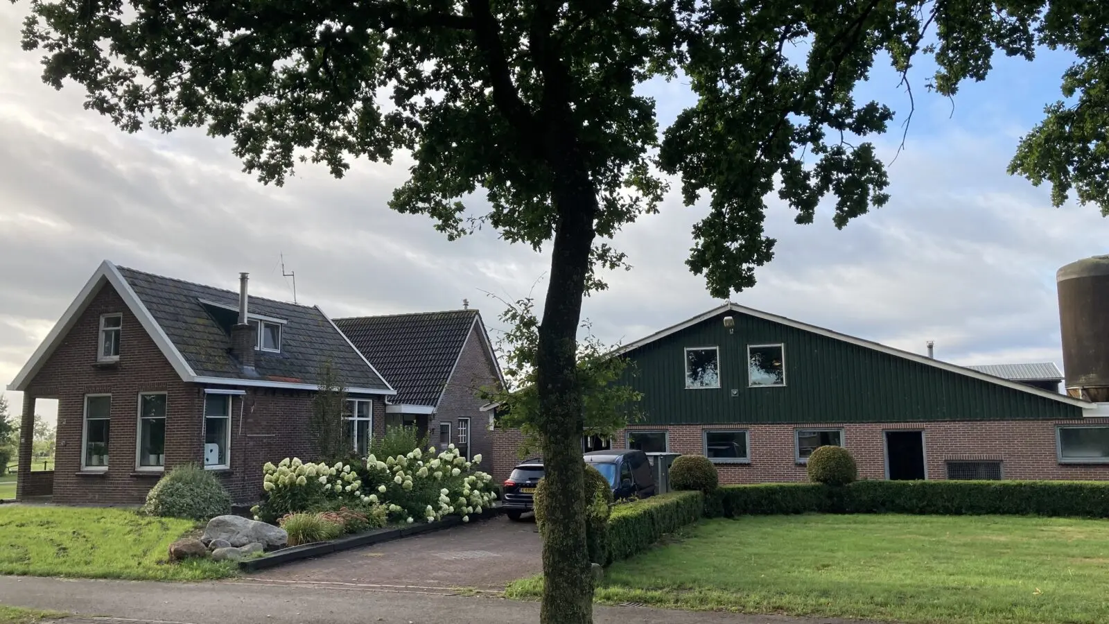 Melkveebedrijf te Nij Beets